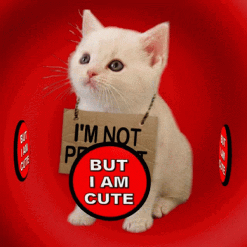 a white cat with a sign that says i 'm not perfect but i am cute