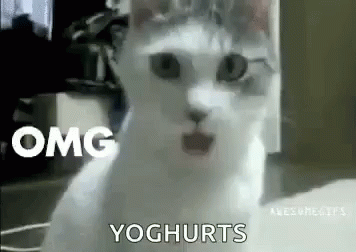 A White Cat With A Surprised Look On Its Face Is Sitting On The Floor . GIF