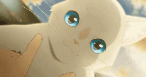 A White Cat With Blue Eyes Is Being Held By Someone GIF