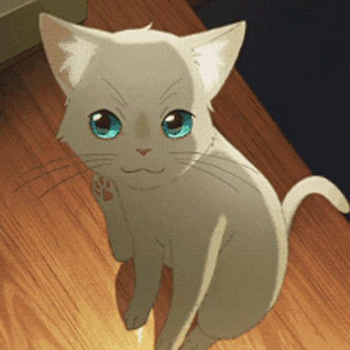 A White Cat With Blue Eyes Is Sitting On A Table GIF