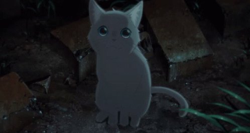 A White Cat With Blue Eyes Is Sitting On The Ground In The Dark GIF