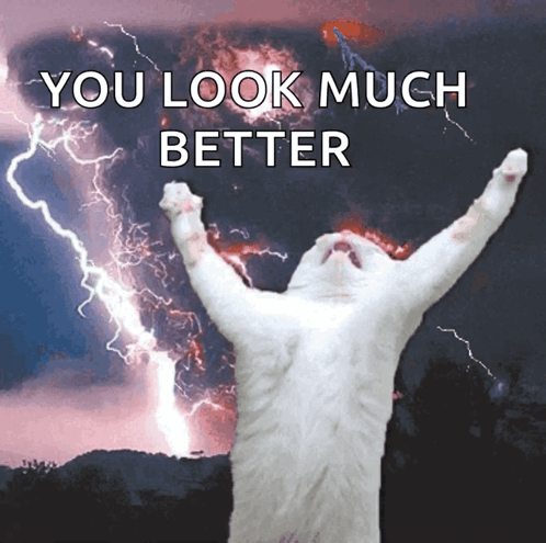 A White Cat With Its Arms In The Air With The Words " You Look Much Better " Behind It GIF