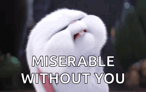 A White Cat With Its Eyes Closed And The Words Miserable Without You Behind It GIF