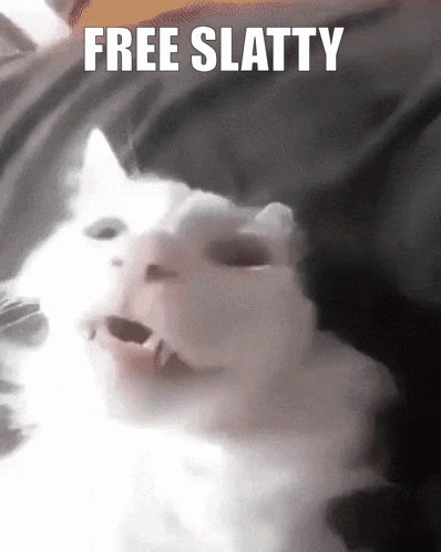 a white cat with its mouth open and the words free slatty written above it