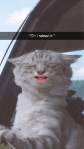 A White Cat With Pink Lips Is Sitting In A Car With Its Eyes Closed And A Caption That Says " Oh I Ruined It " GIF