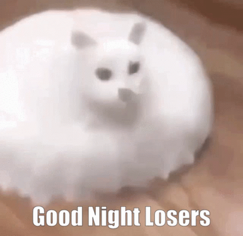 A White Cat With The Words Good Night Losers On It GIF