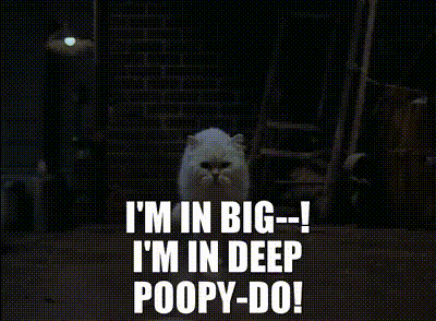 A White Cat With The Words I 'M In Big-- I 'M In Deep Poopy-Do GIF