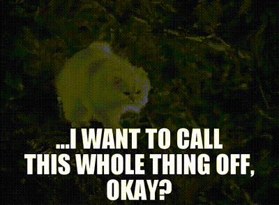 A White Cat With The Words " I Want To Call This Whole Thing Off Okay " Written Below It GIF