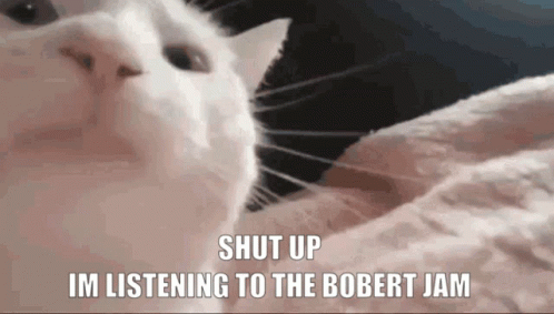 A White Cat With The Words Shut Up Im Listening To The Bobert Jam Above It GIF