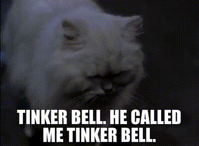 A White Cat With The Words Tinker Bell He Called Me Tinker Bell Written Below It GIF