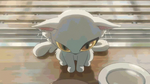 A White Cat With Yellow Eyes Sits On A Table GIF