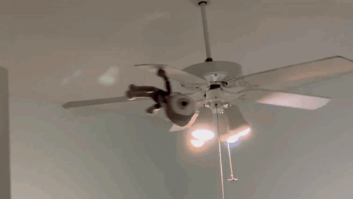 A White Ceiling Fan With A Light On It GIF