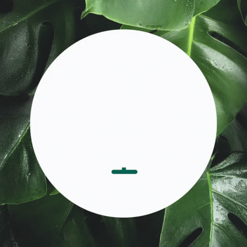 A White Circle Surrounded By Green Leaves With A Green Arrow Pointing To The Left GIF