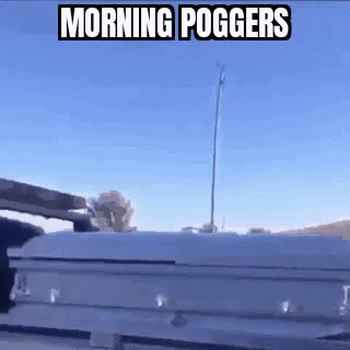 A White Coffin With The Words Morning Poggers On It GIF