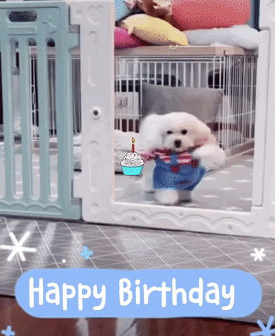 A White Dog Standing In Front Of A Fence With The Words Happy Birthday On The Bottom GIF