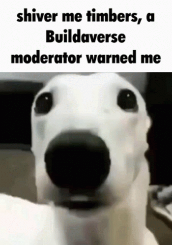 A White Dog With The Words Shiver Me Timbers , A Buildaverse Moderator Warned Me On Its Face . GIF