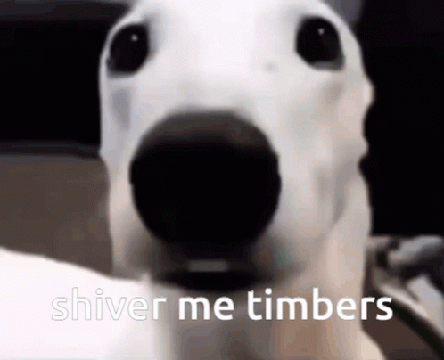 A White Dog With The Words Shiver Me Timbers On The Bottom GIF