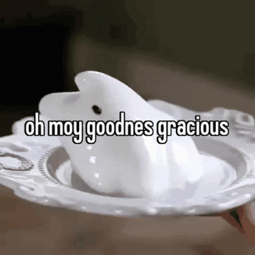 A White Dolphin On A Plate With The Words Oh Moy Goodnes Gracious Below It GIF