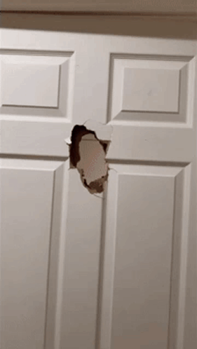 A White Door With A Hole In It That Looks Like A Hole In A Wall GIF