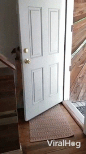 A White Door With A Rug In Front Of It And The Word Viralhog On The Bottom GIF