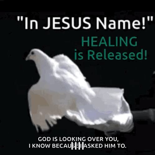 A White Dove Is Being Held In Someone 'S Hands With The Words " In Jesus Name Healing Is Released " GIF