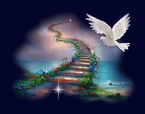 A White Dove Is Flying Over A Staircase That Leads To The Ocean GIF