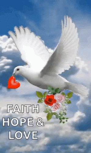 A White Dove Is Flying With A Red Heart In Its Beak GIF