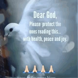 A White Dove Is Sitting On A Tree Branch With A Quote . GIF