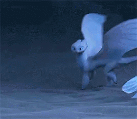 A White Dragon With Wings Is Flying Through The Air . GIF