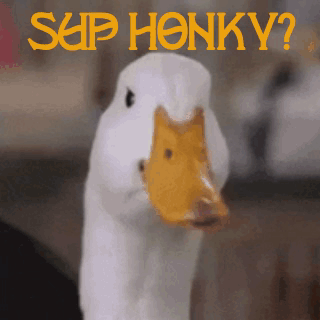 A White Duck With A Yellow Beak Is Standing In Front Of A Sign That Says Sup Honky GIF