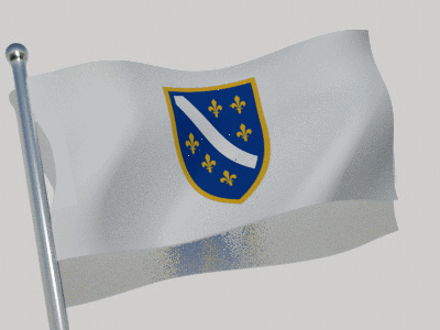 A White Flag With A Blue Shield And Gold Fleur De Lis GIF