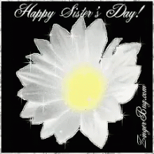 A White Flower With A Yellow Center Is On A Black Background With The Words `` Happy Sister 'S Day '' Written On It . GIF