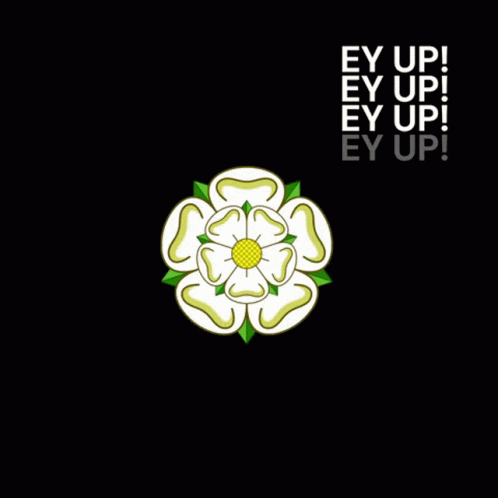 A White Flower With Green Leaves Is Surrounded By The Words Ey Up On A Black Background GIF