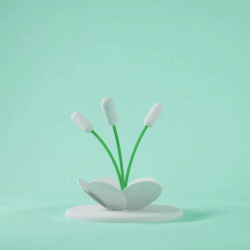 A White Flower With Green Stems And White Petals On A Mint Green Background GIF