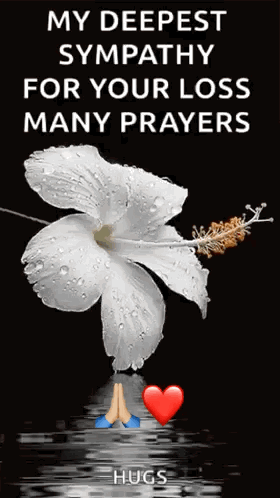 A White Flower With Water Drops On It And A Message That Says My Deepest Sympathy For Your Loss Many Prayers Hugs GIF