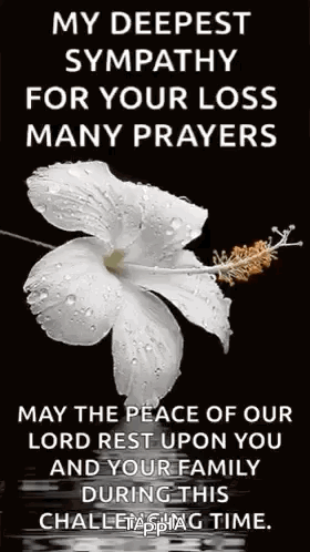 A White Flower With Water Drops On It Is On A Black Background With A Prayer . GIF