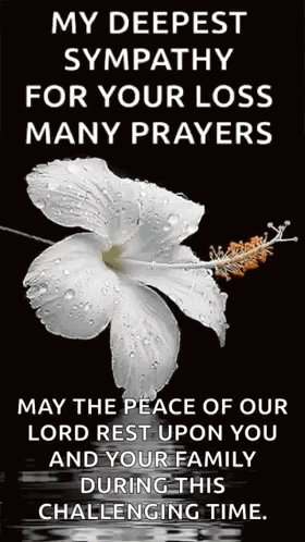 A White Flower With Water Drops On It Is On A Black Background With A Quote . GIF