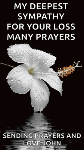 A White Flower With Water Drops On It On A Black Background GIF