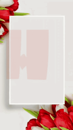 A White Frame With Red And White Flowers And The Letter A GIF