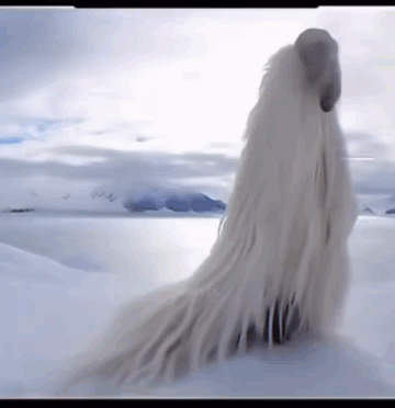 A White Furry Animal Is Standing In The Snow Near A Body Of Water GIF