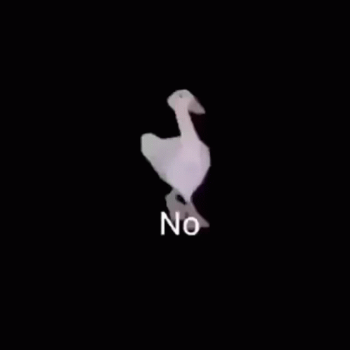A White Goose Is Walking In The Dark With The Words `` No '' Written On It . GIF