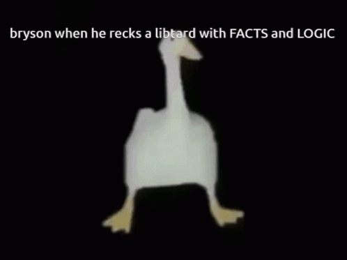 A White Goose Is Walking On A Black Background With A Caption That Says Bryson When He Recks A Libtard GIF