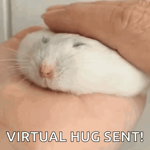 A White Hamster Is Being Held In A Person 'S Hand With The Words Virtual Hug Sent Below It GIF