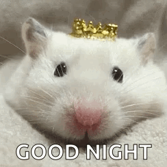 A White Hamster With A Crown On Its Head Is Laying On A Blanket . GIF