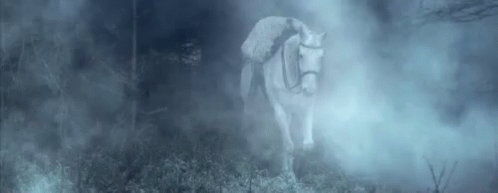 A White Horse Is Standing In The Middle Of A Foggy Forest . GIF