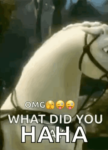 A White Horse With A Bridle And A Caption That Says `` What Did You Haha '' GIF