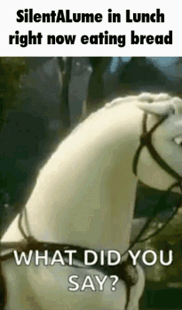 A White Horse With A Bridle Is Eating Bread In A Meme . GIF