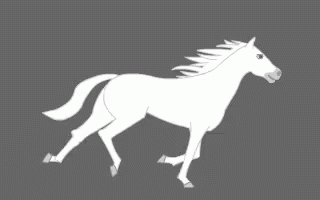 A White Horse With A Long Mane Is Walking On A Grey Background GIF