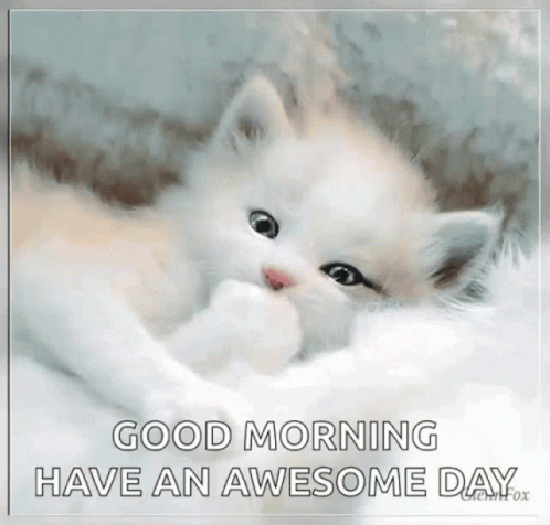 A White Kitten Is Laying On A White Blanket With The Words Good Morning Have An Awesome Day . GIF