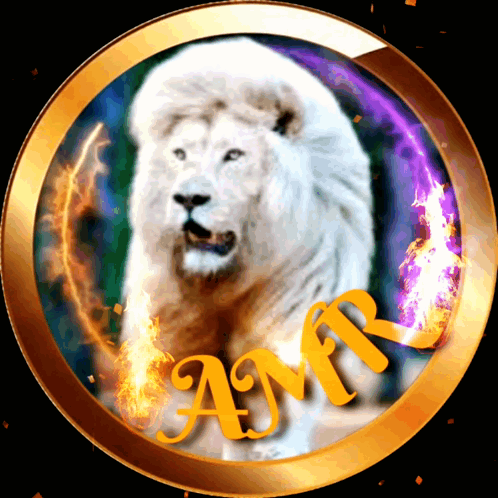 A White Lion In A Gold Circle With The Name Amr GIF